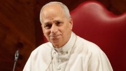 संत पापा लियो 14वें 