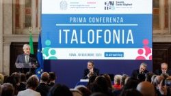 Un momento della conferenza (Ansa)