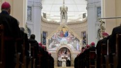 El Papa en Asís con ocasión la clausura de la 81ª Asamblea General de la Conferencia Episcopal Italiana (CEI)