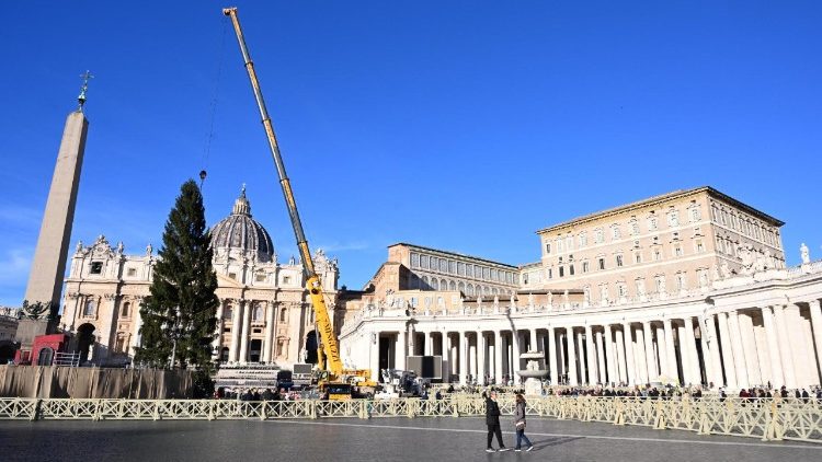 На Плошчы Святога Пятра ў Ватыкане ўсталявалі 27-метровую ёлку