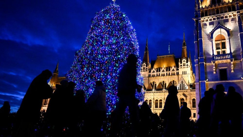 Lights of the national Christmas tree switched on