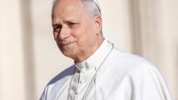 Leo bei seiner Generalaudienz am Mittwoch