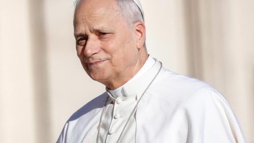 सन्त पापा लियो 14 वें वाटिकन में