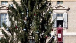 Papst Leo XIV. beim Angelus