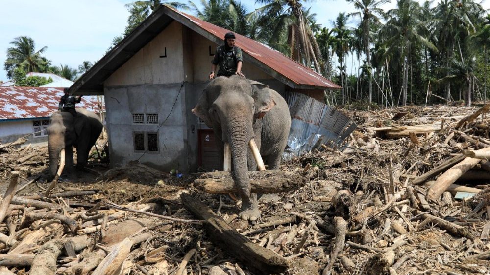 Agentes do Ministério do Meio Ambiente e Florestas da Indonésia montam elefantes-de-sumatra em meio aos escombros em Meureudu, Pidie Jaya, Indonésia, em 8 de dezembro de 2025. Quatro elefantes-de-sumatra domesticados foram utilizados para auxiliar na remoção dos escombros na área afetada pelas enchentes. De acordo com a Agência Nacional de Gestão de Desastres, as enchentes e deslizamentos de terra provocados pelo ciclone tropical Senyar mataram mais de 950 pessoas nas províncias de Aceh, Sumatra do Norte e Sumatra Ocidental. EPA/HOTLI SIMANJUNTAK