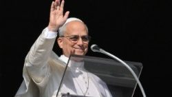 Il Papa all'Angelus, 'cessi ogni violenza nella Repubblica del Congo'