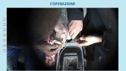 In Italia nove arresti con l'accus di aver finanziato Hamas