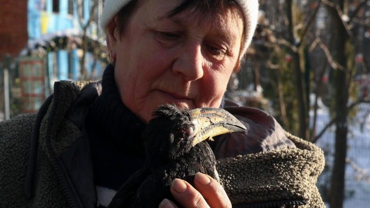 Funcion&aacute;rios do Parque Ecol&oacute;gico Feldman removem p&aacute;ssaros de gaiolas danificadas ap&oacute;s um ataque com bomba voadora russa, em Kharkiv, nordeste da Ucr&acirc;nia, em 1&ordm; de janeiro de 2026, em meio &agrave; invas&atilde;o russa em curso. Bombas voadoras russas atingiram a &aacute;rea do Parque Ecol&oacute;gico de Kharkiv, de acordo com o chefe da Administra&ccedil;&atilde;o Militar de Kharkiv, Oleg Synegubov. EPA/SERGEY KOZLOV