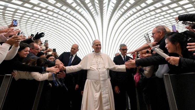 പൊതുകൂടിക്കാഴ്ചാസമ്മേളനത്തിനെത്തിയ പാപ്പാ ജനങ്ങൾക്കിടയിലൂടെ സഞ്ചരിക്കുന്നു