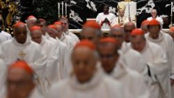 पोप लियो 14वें की पहली कंसिस्टरी में भाग लेते कार्डिनलगण