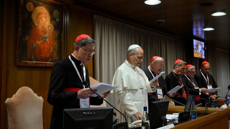 சிறப்புநிலை கர்தினால்கள் ஆலோசனை அவைக் கூட்டத்தில் திருத்தந்தை