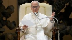 البابا يشدد على ضرورة أن تكون الصحافة فسحة للحوار من أجل بناء الخير العام