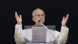 ലിയോ പതിനാലാമൻ പാപ്പാ