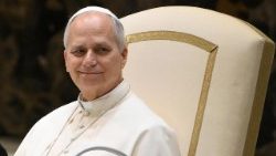 திருத்தந்தை பதினான்காம் லியோ 