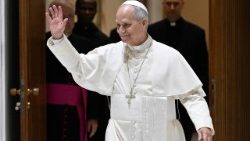 ವ್ಯಾಟಿಕನ್ ನಗರಕ್ಕೆ ಇಟಲಿಯ ಸಾವ೯ಜನಿಕ ಸುರಕ್ಷತಾ ತನಿಕಾಧಿಕಾರಿಗಳ ಸದಸ್ಯರನ್ನು ಜಗದ್ಗುರುಗಳು ಸ್ವಾಗತಿಸಿದರು.