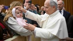 Pope Leo XIV leads the weekly general audience