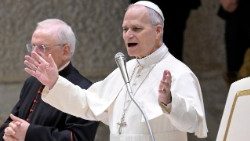 ലിയോ പതിനാലാമൻ പാപ്പാ പൊതുകൂടിക്കാഴ്ച്ചാവേളയിൽ  