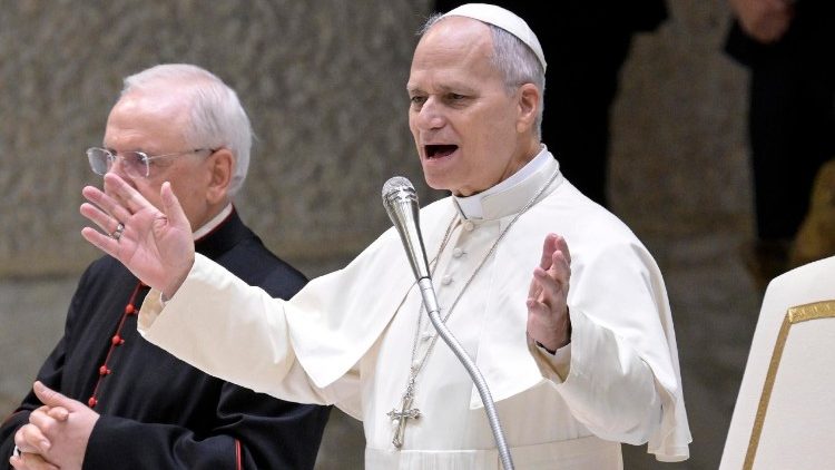 ലിയോ പതിനാലാമൻ പാപ്പാ പൊതുകൂടിക്കാഴ്ച്ചാവേളയിൽ  