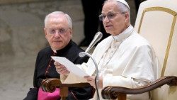 Papa Leone in Aula Paolo VI per l'udienza generale