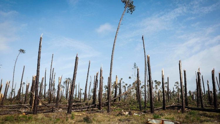Jednou z nejpostiženějš&iacute;ch oblast&iacute; je okol&iacute; Leiry