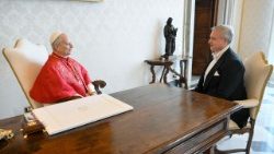 Папская аўдыенцыя для пасла Венгрыі