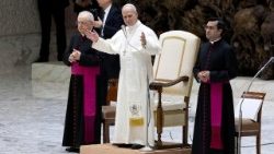 संत  पापा लियो आमदर्शन समारोह में