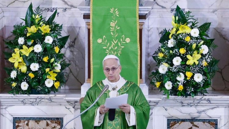 പാപ്പാ സന്ദേശം നൽകുന്നു 