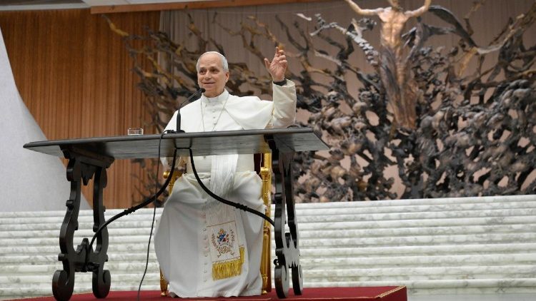 Papst Leo bei dem Treffen in der vatikanischen Audienzhalle