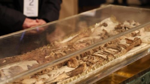 Ausstellung der Gebeine des hl. Franz von Assisi: „Die Herzkammer ist ge&ouml;ffnet“