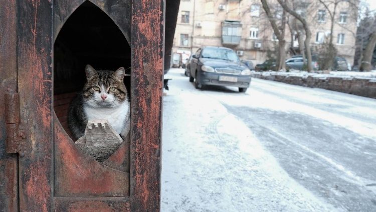 Un gatto si riscalda dal gelo a Druzhkivka, nel Donetsk, in Ucraina, città a 15 km dal fronte di guerra, colpita anche in questi giorni da attacchi russi con droni e artiglieria (foto Ansa)