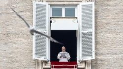 Pope Leo XIV� Angelus prayer in Vatican