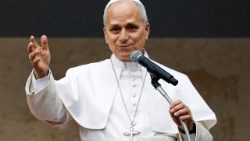 पोप लियो 14वें 