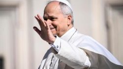 संत पापा लियो 14वें 