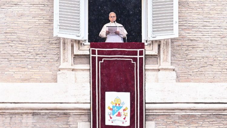 Il Papa, 'le guerre sono uno scandalo per la famiglia umana'