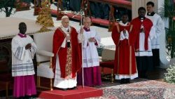 Pope Leo XIV celebrates Palm Sunday Mass at the Vatican