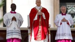 Papst Leo an diesem Sonntag auf dem Petersplatz