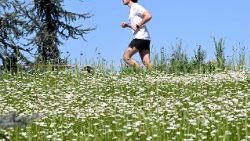 Die kleine Joggingtour zu Ostern findet den Geschmack von Papst Leo