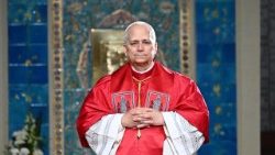 ലിയോ പതിനാലാമൻ പാപ്പാ അവർ ലേഡി ഓഫ് ആഫ്രിക്ക ബസലിക്കയിൽ