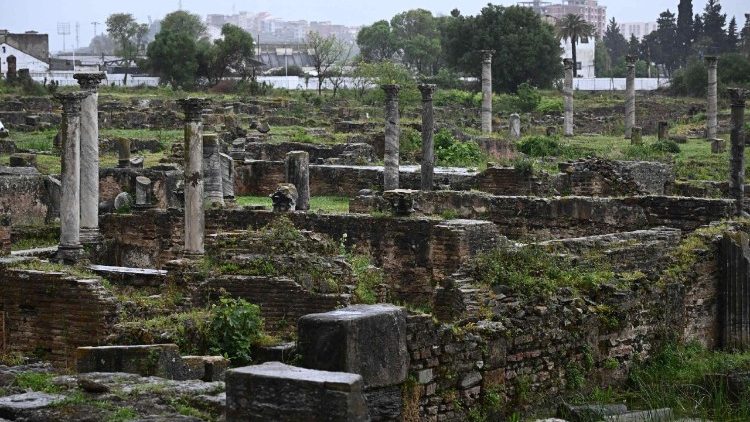 Khu khảo cổ Hippo