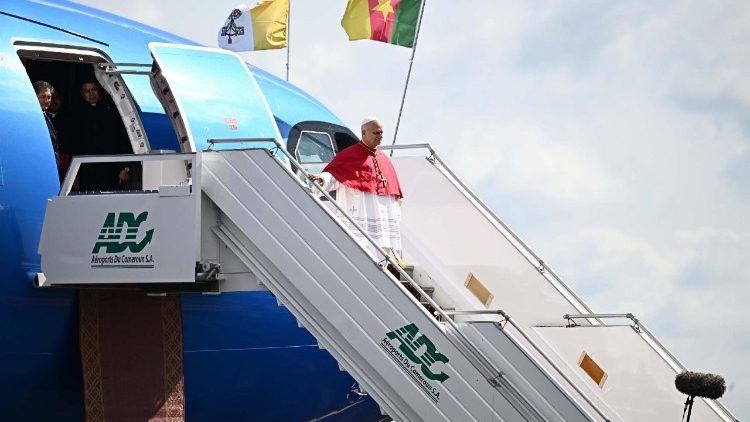 Леў XIV у Камеруне