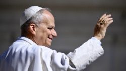Il Papa arrivato a Piazza San Pietro per l'udienza generale