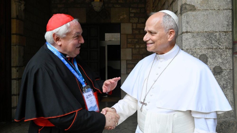 Il Papa, 'tante sfide per il Mediterraneo e il Medio Oriente'
