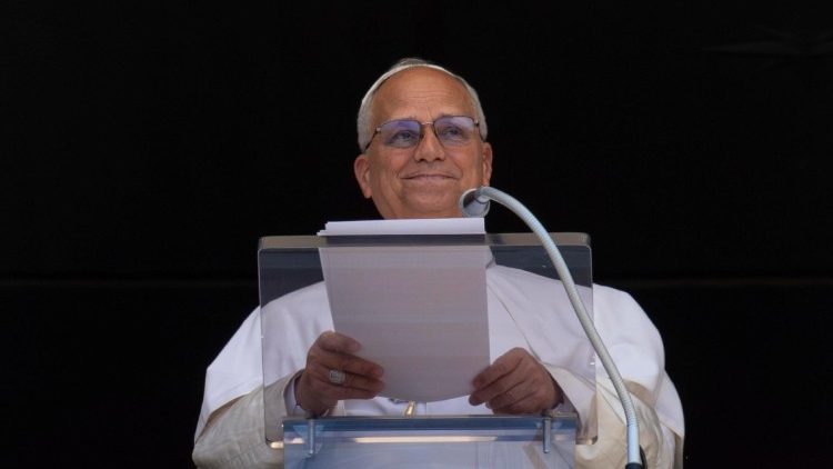 Il Papa, Dio vede le ferite delle guerre e soffre per noi