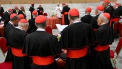 Les cardinaux réunis en salle Paul VI au Vatican, pour la première session du Consistoire extraordinaire, vendredi 26 juin 2026.
