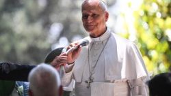Pope Leo in Castel Gandolfo