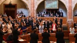 1783964482540.jpg