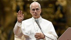 Papa Leone XIV in basilica per l'udienza generale del mercoled�