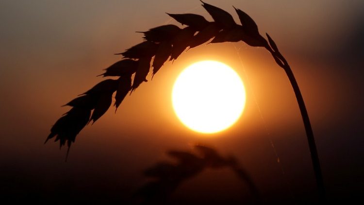 Neno la Mungu ni nafsi hai ya Mungu