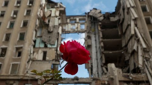 Rosa vermelha diante do Prédio do Conselho Regional em Mykolaiv, destruído por ataque russo