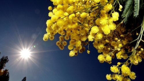 Weltfrauentag: Kritik an „Lifestyle-Teilzeit“ und Gewalt gegen Frauen